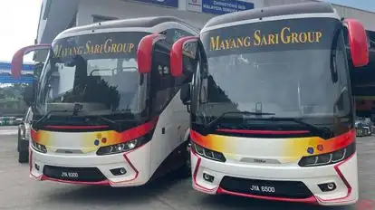 Mayang Sari Express Bus-Front Image