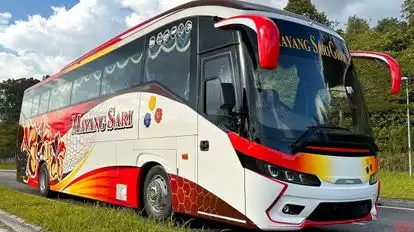 Mayang Sari Express Bus-Side Image