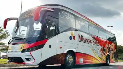 Mayang Sari Express Bus-Side Image