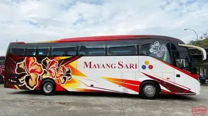 Mayang Sari Express Bus-Side Image