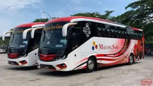Mayang Sari Express Bus-Front Image
