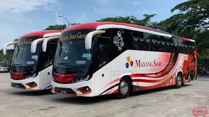 Mayang Sari Express Bus-Front Image