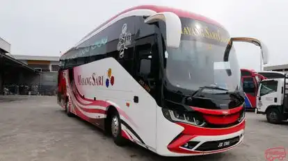 Mayang Sari Express Bus-Side Image