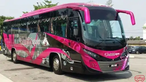 Unititi Express Bus-Front Image