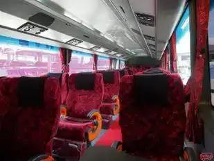 Intertop Express Bus-Seats Image