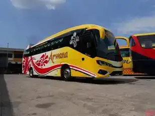Arwana Express Bus-Side Image