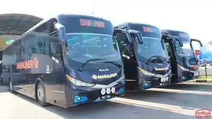 Maraliner Bus-Front Image