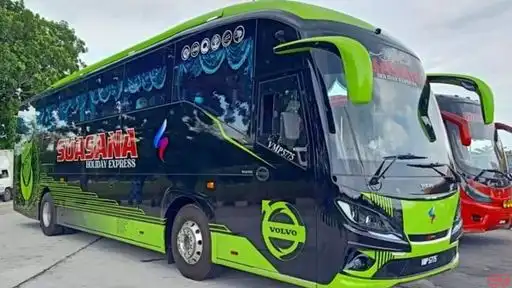 Suasana Holiday Express Bus-Front Image