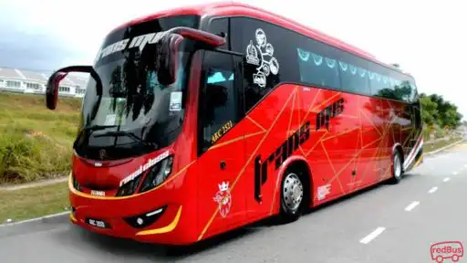 Trans MVS Express Bus-Front Image