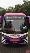TransMalaya Ekspres Bus-Front Image
