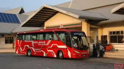 Delima Express Bus-Side Image
