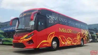 Melor Interline Express Bus-Side Image