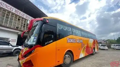 Sungai Merah Bus Bhd. Bus-Side Image