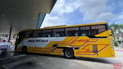 Naik Selalu Ekspres Bus-Front Image