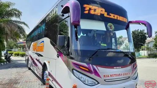 Top Liner Bus-Front Image