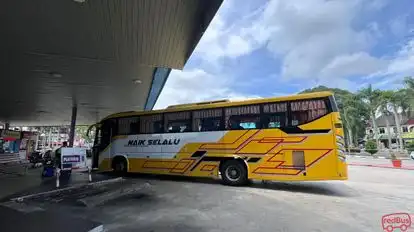 Naik Selalu Bus-Side Image