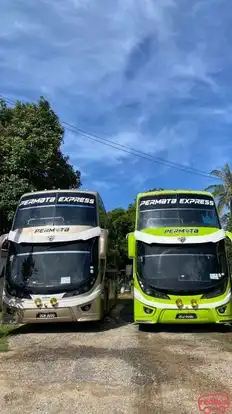 Permata Express Bus-Front Image