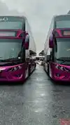 Zaim Express Singapore Bus-Front Image