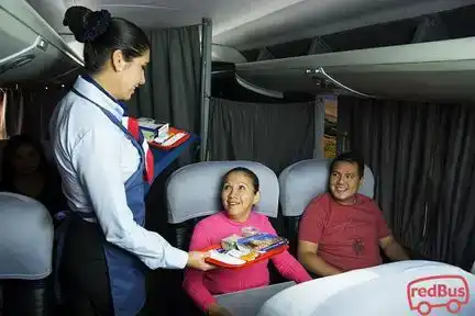 Tepsa Bus-Front Image