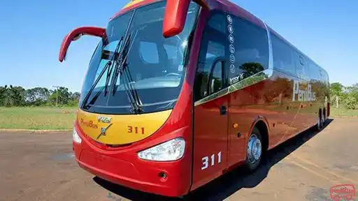 Perubus Bus-Front Image