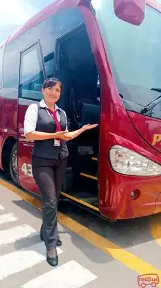 Perubus Bus-Front Image