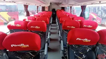 Perubus Bus-Seats layout Image