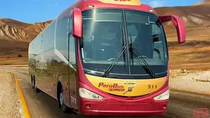 Perubus Bus-Front Image