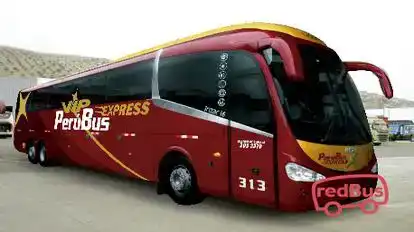 Perubus Bus-Side Image