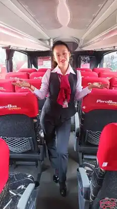Perubus Bus-Seats layout Image