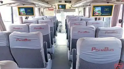 Perubus Bus-Seats layout Image