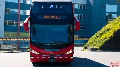 Linea Bus-Front Image