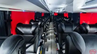 Linea Bus-Seats layout Image