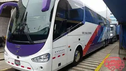 Turismo Cruzper Bus-Front Image