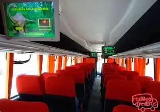 Turismo Armonia Bus-Seats Image