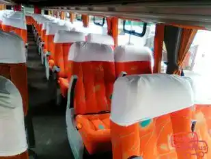 Turismo Armonia Bus-Seats Image