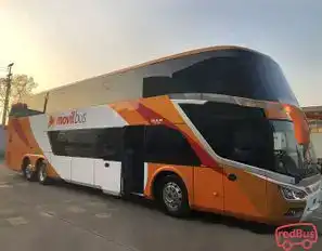 Movil Bus  Bus-Front Image