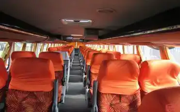 Royal Palace Bus-Seats Image