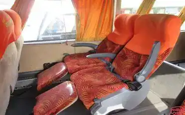 Royal Palace Bus-Seats Image