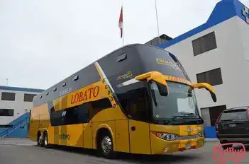 Expreso Lobato Bus-Amenities Image