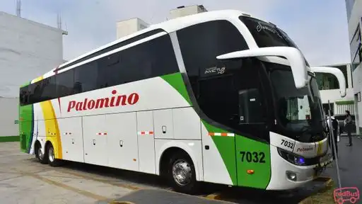 Palomino Bus-Front Image
