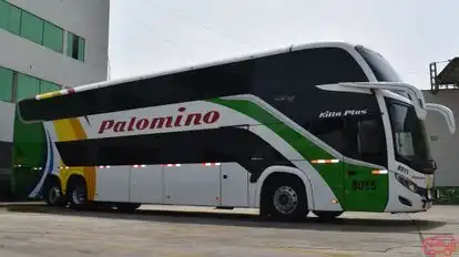 Wari Palomino Bus-Side Image