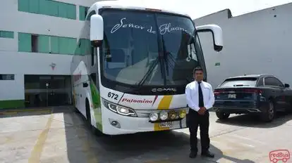 Wari Palomino Bus-Front Image