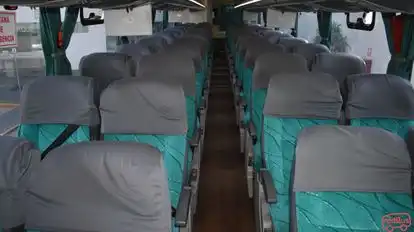 Palomino Bus-Seats layout Image