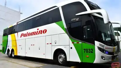 Wari Palomino Bus-Side Image