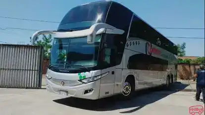 Nuevo Continente Bus-Front Image