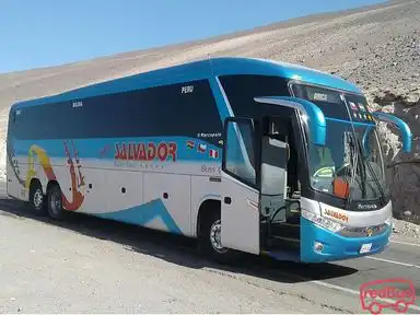 Transsalvador Bus-Front Image