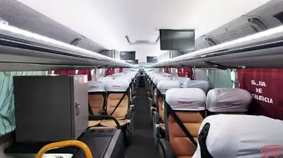 ITTSABUS Bus-Seats layout Image