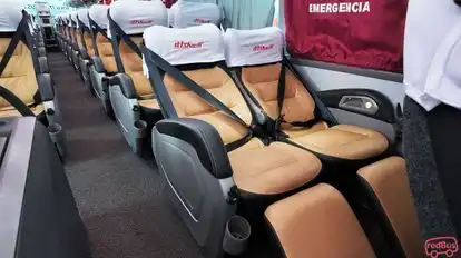ITTSABUS Bus-Seats Image