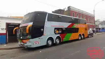 Cruzero Express Bus-Front Image