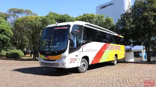 Cruzero Express Bus-Front Image
